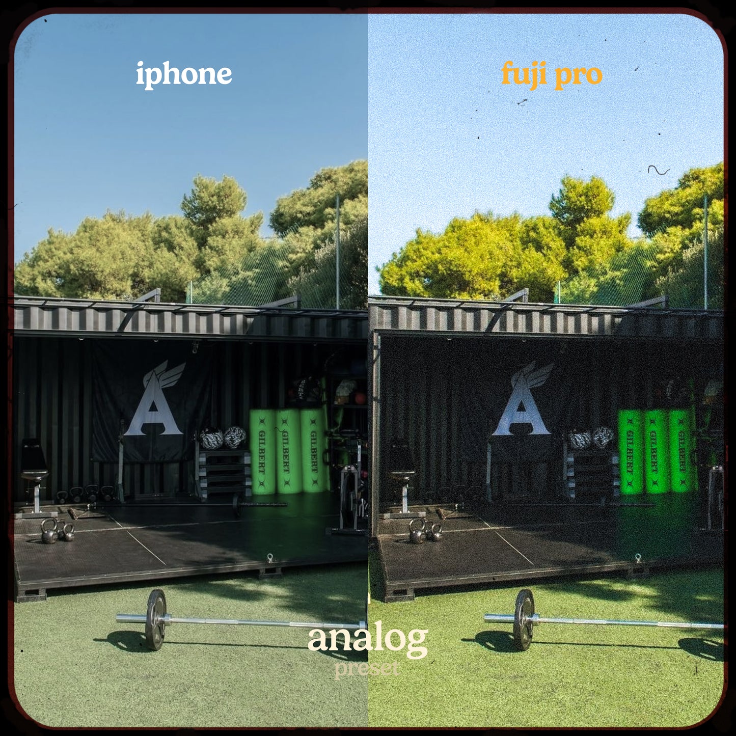 Fuji Pro Look