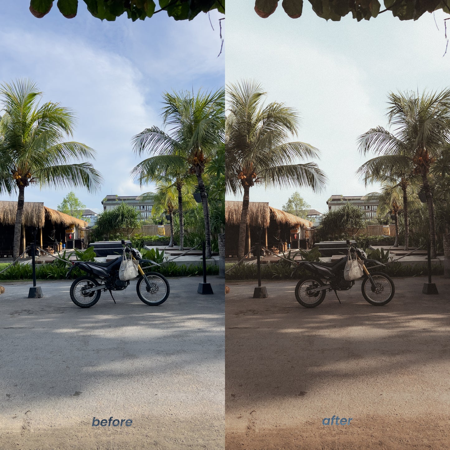 Analog Creator Kit (Photo + Video Presets)