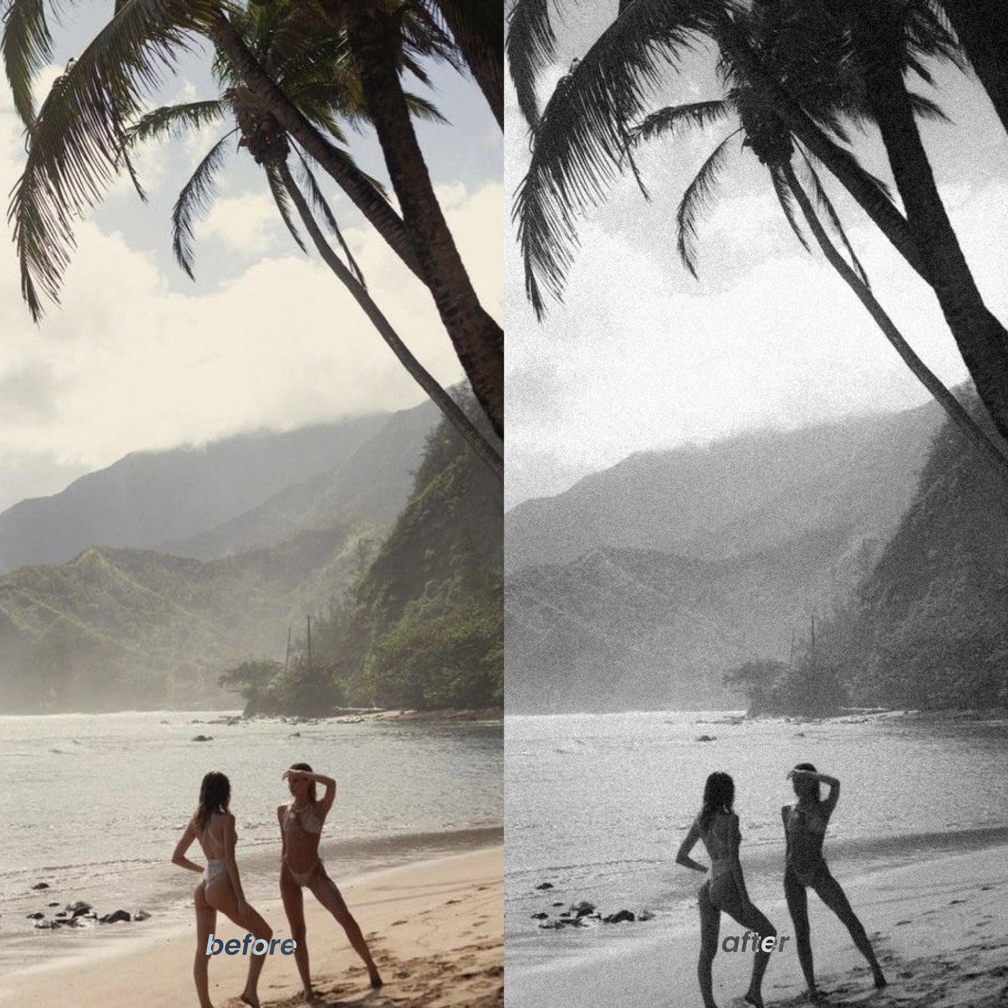 Analog Creator Kit (Photo + Video Presets)